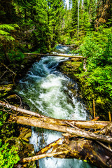 Sticta Falls, a 30 foot waterfall on Falls Creek at the end of the Clearwater Valley Road in Wells Gray Provincial Park in British Columbia, Canada