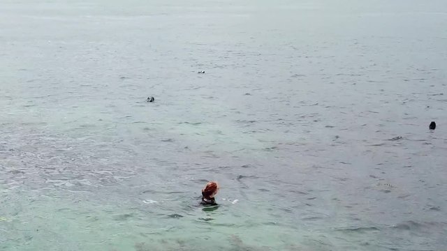woman swimming with seals in the sea near the Dalkey Island