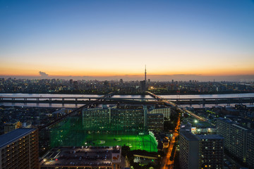 Fototapeta premium 東京 夜景