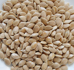 Pumpkin Seeds