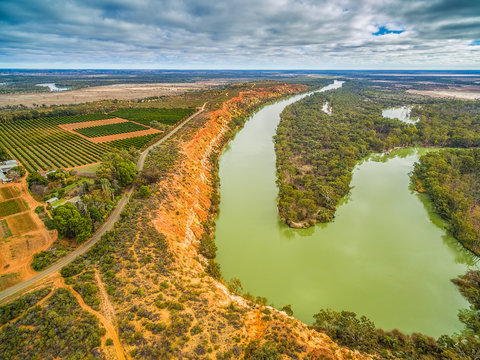 Aerial view of agricultural fields and Murray River flowing into the horizon among gum trees in South Australia