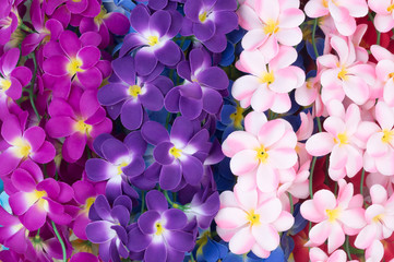 multicolored artificial orchids as background