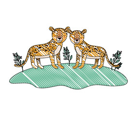 wild cheetahs in the field vector illustration design