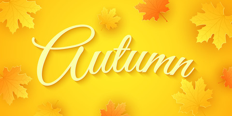 Autumn background. Seasonal banner. Invitation greeting card. Calligraphy and lettering. Orange maple leaves. Drop leaves. Festive cover. Vector illustration