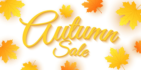 Autumn sale. Advertising seasonal banner. Invitation greeting card. Calligraphy and lettering. Orange maple leaves. White background. Vector illustration