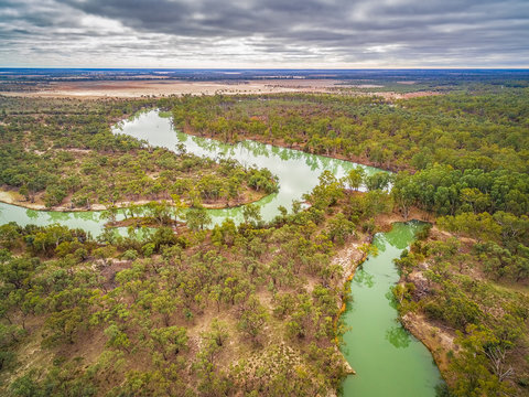 Aerial view of meandering Murray River among eucalyptuses