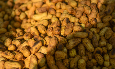 Closeup view of steamed golden groundnuts With sunlight.