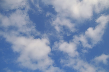 青空に浮かぶ綿のような雲