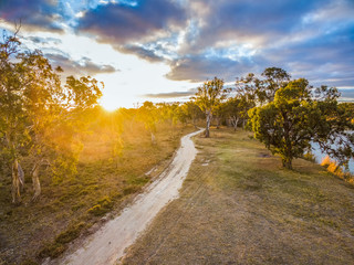 Winding dirt road among eucalyptus trees at sunset with sun flare
