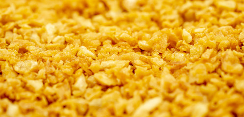 Deep fired garlic with depth of field.