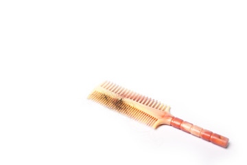 Hairbrush with hair isolated on white background
