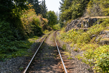 Fototapeta premium railway pass through the forest with rock wall on both sides