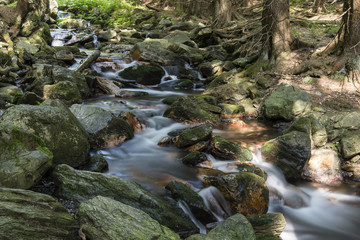 The flowing river between stones in nature and forest.