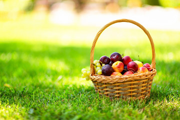 Closeup wicker basket full of ripe fruits at green grass with free space backround.