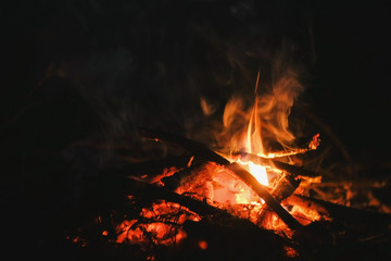 Burning bonfire of dry branches in the forest close-up.