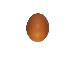 Egg on white background