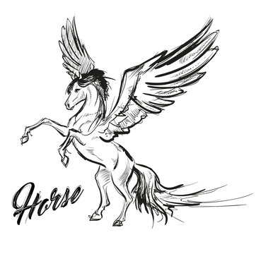 Pegasus greek mythological creature. Legendary beast concept drawing. Heraldry figure. Vintage tattoo design. Sketch isolated on a white background