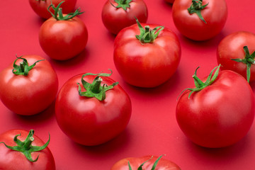 red tomatos on color background