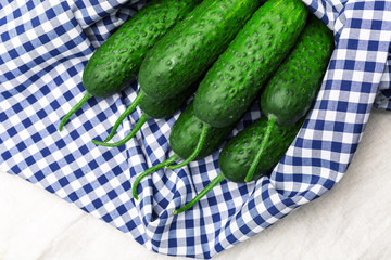 Cucumber on wooden background