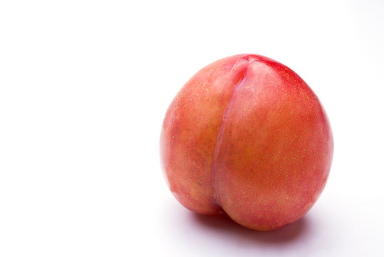 白バックの1個のスモモの実