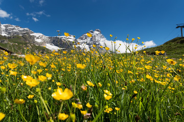Alpine landscape with mount Matterhorn, Breuil-Cervinia, Italy.