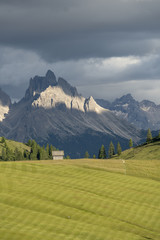 Naklejka premium Dolomiten: Kalkgipfel im Abendlicht, im Vordergrund frisch gemähte Alpwiese