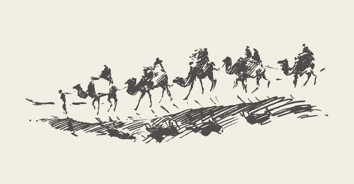 Caravan camels desert rawn vector sketch