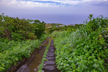 Fototapeta na wymiar 青ヶ島