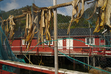 Beautiful and dramatic landscape of Lofoten islands in Norway during summer time