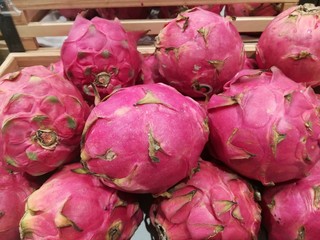 Freshly harvested organic dragon fruit on display for sale at local farmer's market departmental store.
