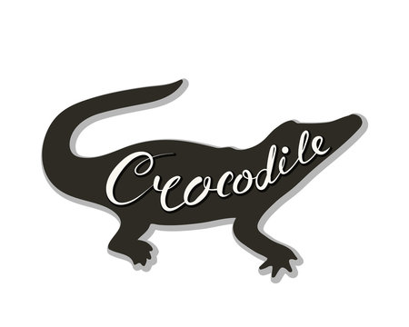 Silhouette of a crocodile on a white background. Vector illustration. Calligraphy inscription.