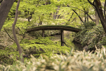 Yamakage wooden bridge lined with moss seen from Tsutsuji Tea House in the Rikugien Garden in Bunkyo district, north of Tokyo.