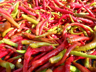 red pink and green peppers