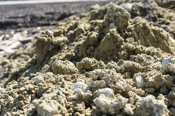 pile of earth in garden