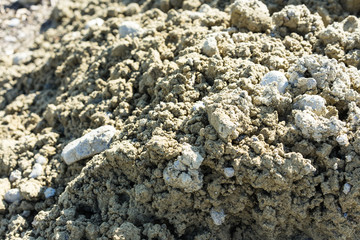 pile of earth in garden