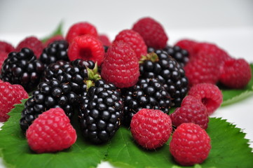 close up of red and black raspberries isolated whited background 