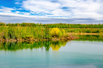 Idyllic lake with trees