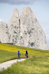 Fototapeta premium Seiser Alm in Südtirol