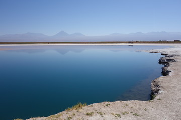 Salzsee in der Wüste vor Vulkan-Kulisse