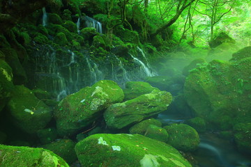夏の元滝伏流水