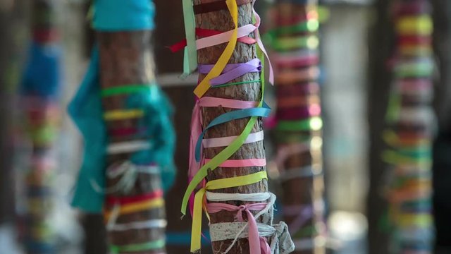 Wish tree with colored ribbons