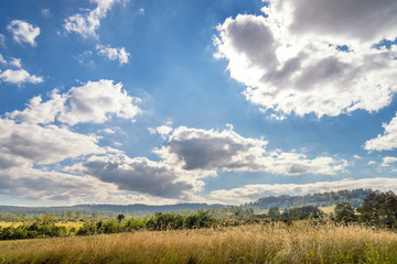 Obraz premium Beautiful landscape of Thung Salaeng Luang National Park, Savanna in National Park of Thailand