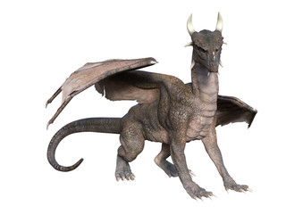 Fototapeta premium 3D renderowania Fantasy Dragon na białym tle