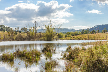 Dry trees and Lake with reflection in water at Thung Salaeng Luang Nation Park, Thailand