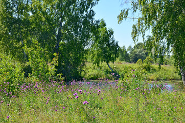 Beautiful landscape the blue lake among the wood in Russia Siberia