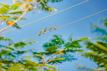 Fototapete bei efototapeten.de bestellen   