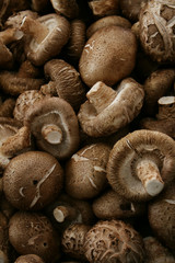 Fototapeta premium fresh uncooked mushrooms