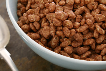 loose breakfast cereal in bowl