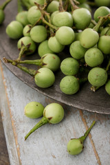 fresh Pea Aubegine bunch