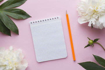Notepad for text white flowers peony cherry berries on pastel pink background